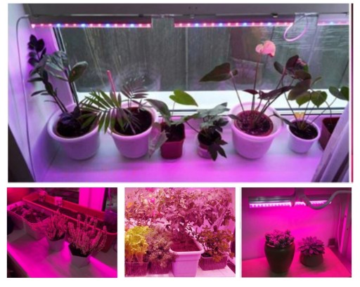 GROW 5630 FullSpectrum LED pásik pre rast rastlín