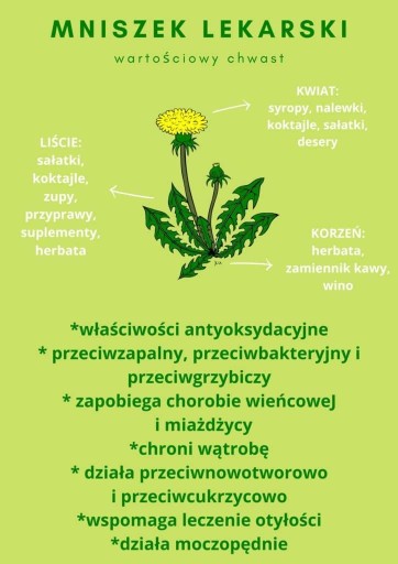 List púpavy BIO 50g Fleece EKO CERTIFIKÁT