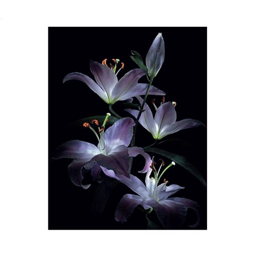 Diamantové vyšívanie Diamantové kvety 30x40cm DPX-01583