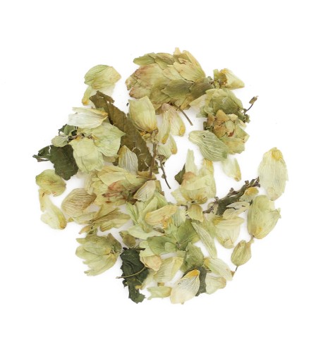 CHMEĽOVÉ SUŠENÉ AROMATICKÉ CHMEĽOVÉ ŠÍŠKY na spánok a pleť 250g + e-kniha zdarma