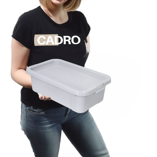 Organizér, plastová nádoba s vrchnákom, 4,5l box, svetlo šedá