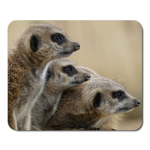 Podložka pod myš WILD ANIMALS MEERCAT