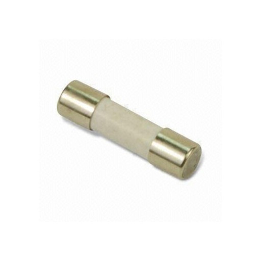 F10A KERAMICKÁ POISTKA 5x20mm (10KS)