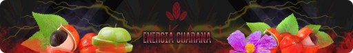 Yerba Mate Vakapi Energy Guarana - 50 g elaborada