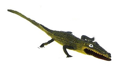 KROKODÝL VEĽKÝ GUMOVÝ 50cm 6k