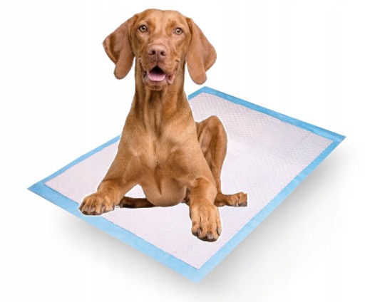 Hygienická podložka Daily Pad 1ks 60x60cm Puppy Adult Dog podložka