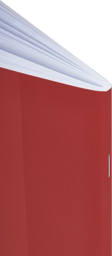 NOTEBOOK 60 listov lemovaný POĽSKÝ JAZYK OXFORD 400175634