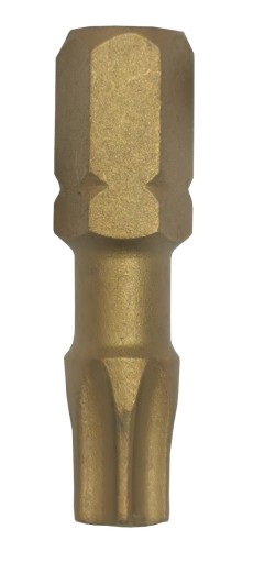 Bit TITANIZOVANÝ, hrot TORX TX20, 25mm