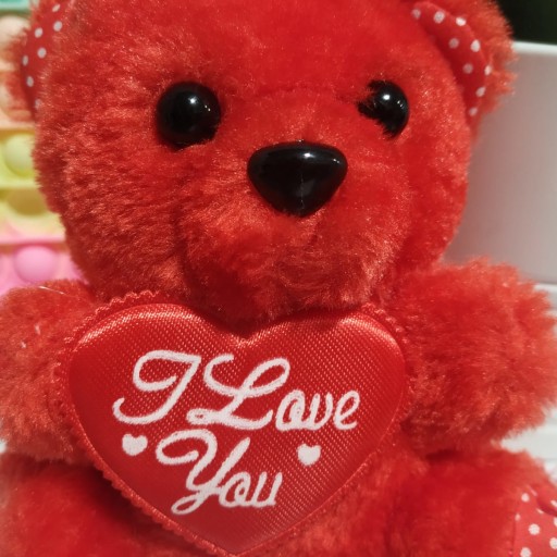 MEDVEĎ MASKOT AKO DARČEK PRE DIEVČA S ČERVENÝM SRDCOM POKYN ĽÚBIM ŤA