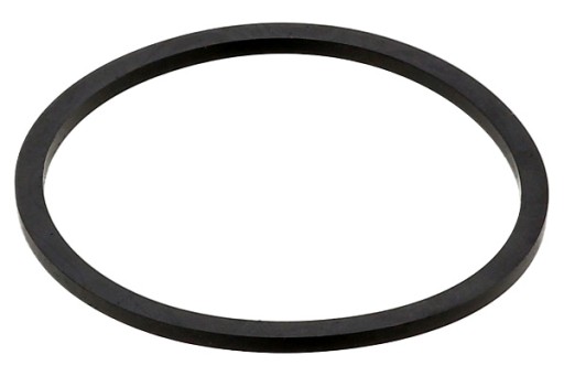 TESNENIE TERMOSTATU CHLADIACEJ KVAPALINY BMW 5 E12 5 E28 6 E24 7 E23