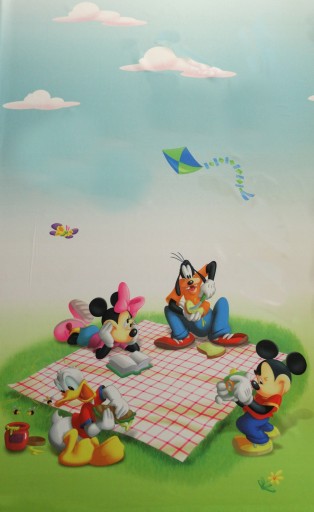 MG TK záves DISNEY MICKEY MOUSE DA10, výška 160cm