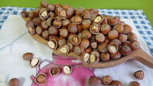 Poľské lublinské lieskové orechy v škrupine 1 kg zber 2023