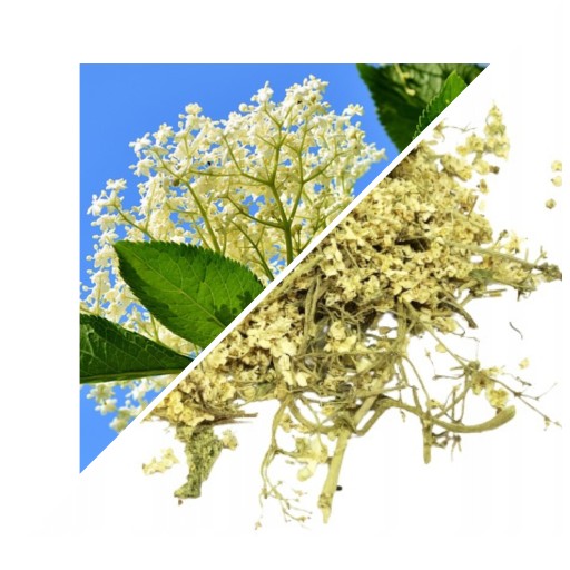 KVET BEZY ČIERNEJ 50 G - LUBELS HERBARY