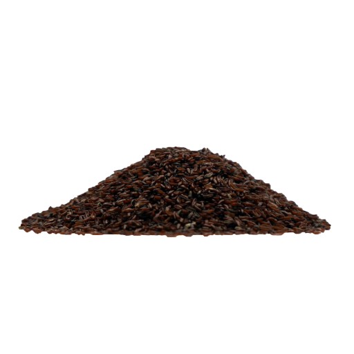 PLANTY PŁESZNIK semená psyllia 500g