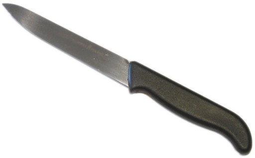 KUCHYŇSKÝ NÔŽ NA OVOCIE A ZELENINU 12cm NEREZOVÁ NEREZOVÁ POLYPROPYLÉNOVÁ RÚČKA