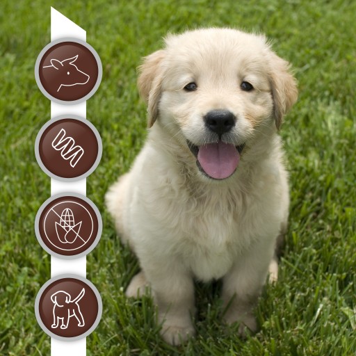 Monoproteínové mokré krmivo pre šteňatá s hovädzím mäsom Raw Paleo Puppy 400g