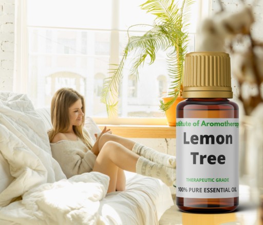 LEMON TREE olej osviežuje a dezinfikuje vzduch