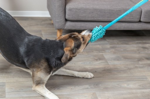 Bungee Dummy mop pre psa 48 cm Trixie
