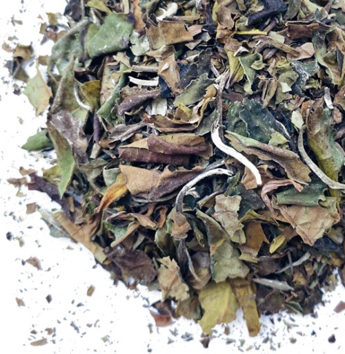 MUTAN WHITE TEA Pai Mu Tan originál z ČÍNY