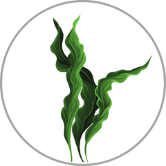 Príprava pleti na masku - čistiaci WAX Tricho peeling