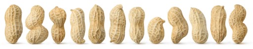 ARAŠIDY ARAŠIDY 500G, pražené bez soli