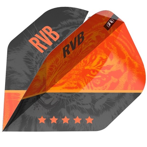 Šípkové pierka TERČ RAYMOND RVB G4 N02 830