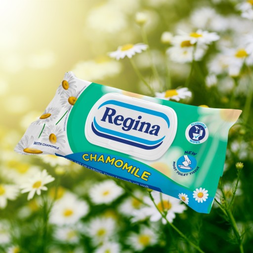 REGINA Vlhčený papier 42 KS RUMANKU A BIOLOGICKY ROZLOŽITEĽNÉ ALOE