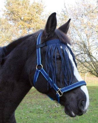 COVALLIERO Pony Insect Strapce námornícka modrá