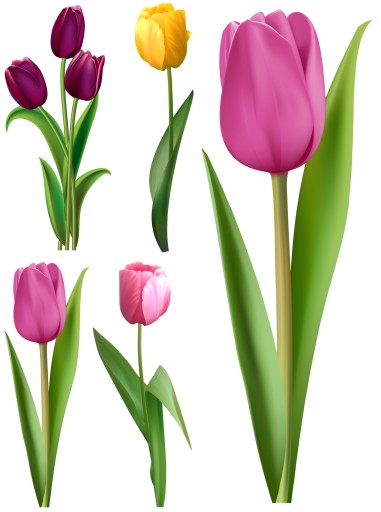 NÁLEPKY NA OKENNÉ ZRKADLOVÉ SKLENÉ TULIPANY KVETY