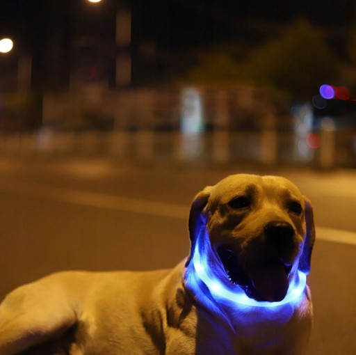 LED OSVETLENIE PRE PSA MAČKU NASTAVITEĽNÉ USB vodeodolná prechádzka nočná zima