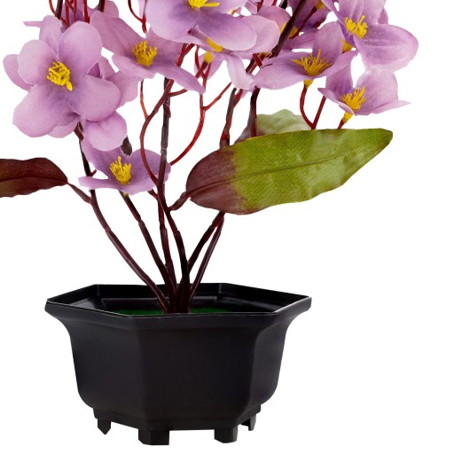 UMELÉ KVETY V KVETINÁME ORCHIDEJ