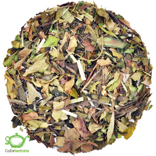 CITRÓN - PAI MU TAN Biely čaj 50g UNIKÁT