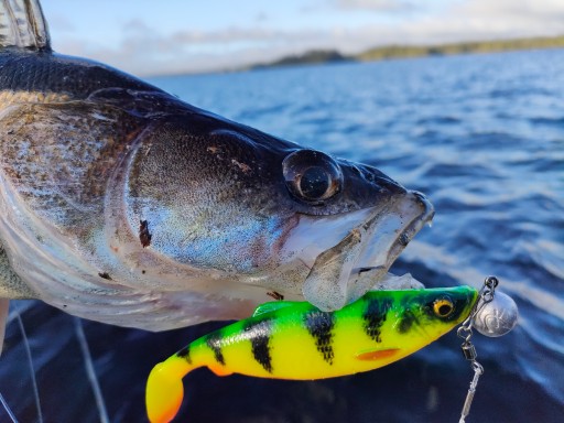 Ripper Savage Gear Herring Shad 13cm Firetiger na šťuky a zubáče