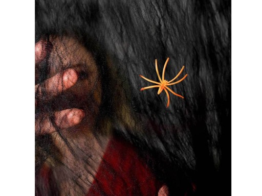Čierna pavučina s halloweenskym pavúkom 20g Web