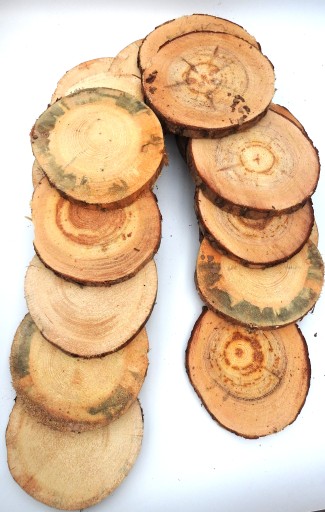 DREVA DREVA, KOŠTIČKA BOROVICE, 25-30CM, 1 KS