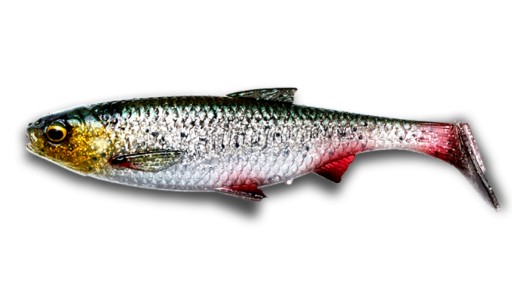 SAVAGE GEAR 3D riečna plotica 12 cm zelená strieborná