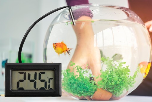 ELEKTRONICKÝ TEPLOMER SO SONDOU PRE AKVÁRIOVÉ PECE LCD SNÍMAČ