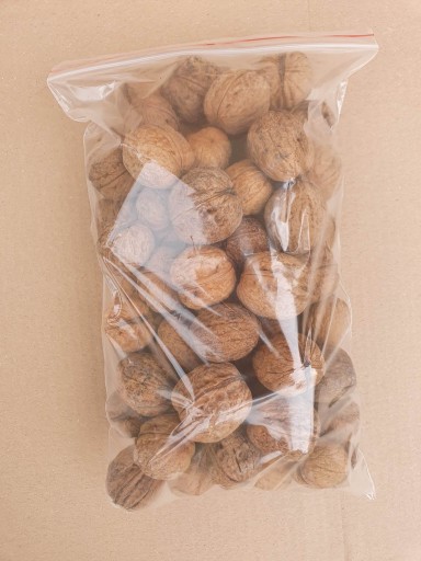 Vlašské orechy 1KG celé v škrupine 1000g