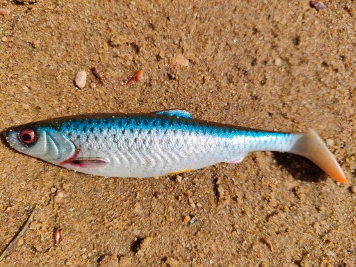 Savage Gear Herring Shad 13 cm plotica na zubáče a šťuky