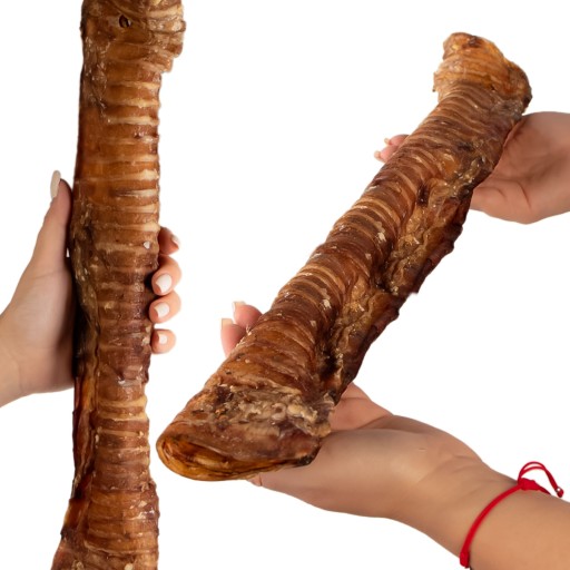 CHRUVKA PRE VEĽKÝCH PSOV PRÍRODNÁ HOVÄDZIA TRACHEA, VEĽKOSŤ XL