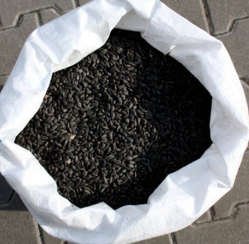 ČIERNA slnečnica CLEAN krmivo ZRNO krmivo pre voľne žijúce VTÁKY 1kg
