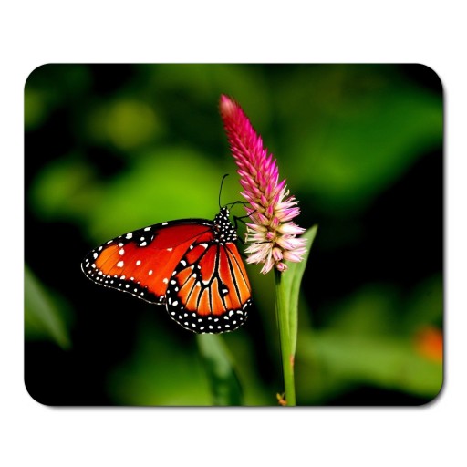 BUTTERFLY BUTERFLY podložka pod myš