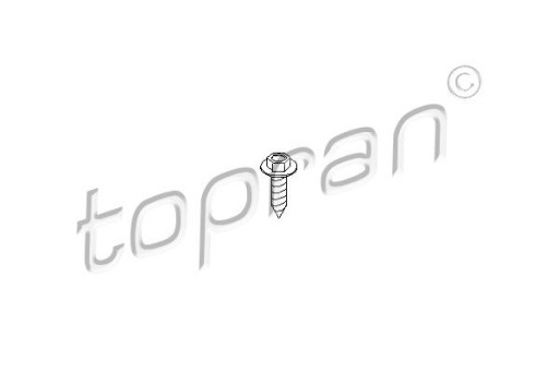 SKRUTKA TOPRAN