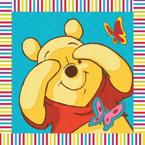 MAGIC TOWEL Osuška MACKO PÚ 30x30