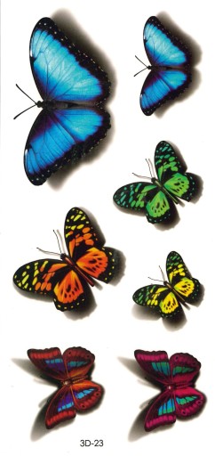 Umývateľné tetovanie pre deti BUTTERFLIES 3D23