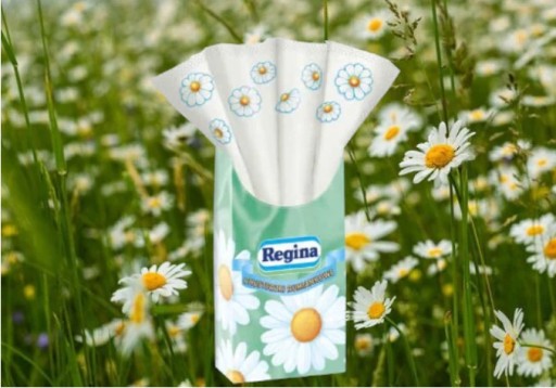 Regina HAMOMILE vreckovky 10 bal