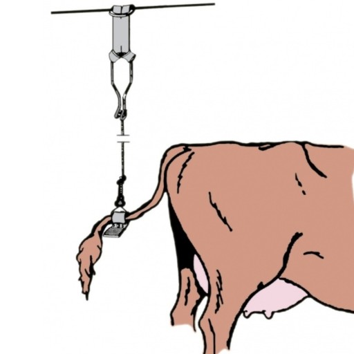 Držiak chvosta Lano na držanie chvosta