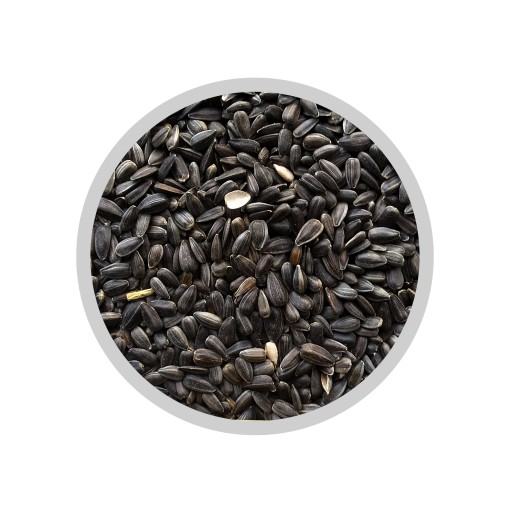 Slnečnicové semienka na klíčky - 100g