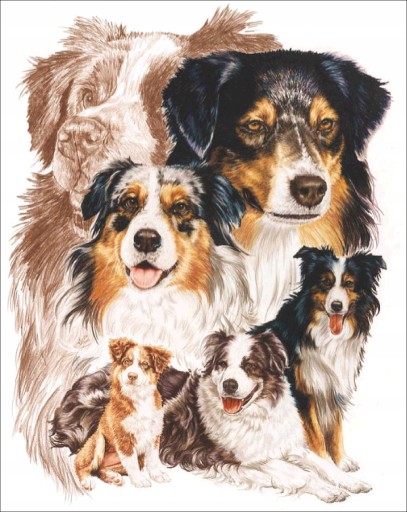 Diamond Painting DOG Diamond Scrapbook 5D DIAMANTOVÁ SADA MALOVANIA