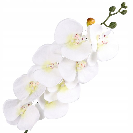 ORCHIDEA ORCHIDEA Vetvička LIVING QUALITY 90cm